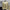 Business Men’s Three-Piece Suit Set with Notched Lapels and Textured Fabric