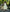 - Sleeveless A-Line Dress with Vertical Piping