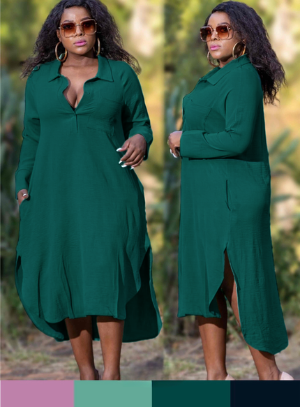 Button-down front  Long sleeves Mid-length Shirt Dress