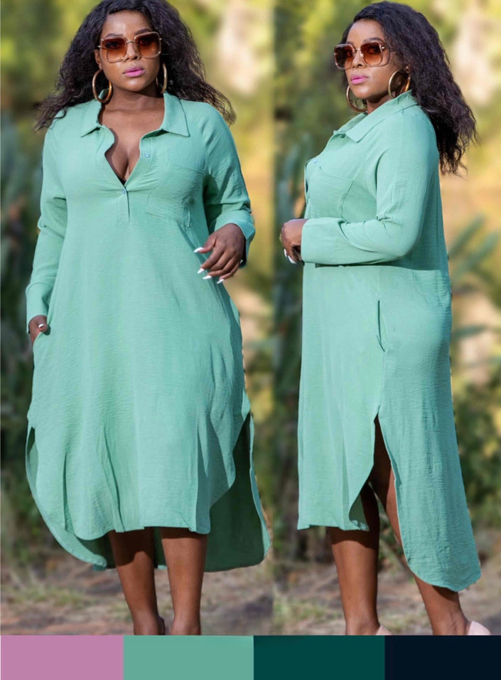 Button-down front  Long sleeves Mid-length Shirt Dress