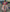 Traditional Circular Pattern Decorated Dress with Cinched Waist and Mid-Calf Design