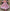 Elegant Full-Length Gown with Puffed Sleeves and Voluminous Skirt