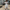 Long-Sleeve Collared Knee-Length Dress with Button-Down Front and Floral Print Embellishments