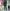 Women’s Business Suit Set