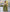 Tropical Print Short-Sleeve Collared Shirt and High-Waisted Wide-Leg Trousers