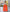 Tropical Print Short-Sleeve Collared Shirt and High-Waisted Wide-Leg Trousers