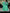 Women's Skirt Suit For Formal Occasions