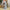 Spaghetti Strap Flared Maxi Dress with Fitted Bodice and High Slit