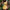 Women's Sleeveless Crop Top and High-Waisted Pleated Skirt Set