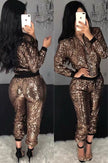 Bronze sequin top and elastic-waist pants set, zip front with long sleeves