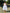 Sleeveless Square Neckline Flared Dress with Front Button Detailing