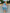 Pleated Skirt Traditional Attire with Bold Floral Motifs