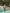 Tropical Floral Two-Piece Swimsuit Set