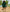Beachwear Short-Sleeved Knee-Length Dress