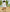 Beachwear Short-Sleeved Knee-Length Dress