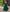 V-Neckline Maxi Dress with Puff Sleeves and Ruffle Hem Detailing