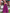 Women's Sleeveless Maxi Dress with Spaghetti Straps and Pleated Skirt