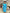 Abstract Print Knee-Length Dress with Sheer Sleeve Accents