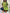 Tiered Ruffle Hem Short Sleeve  Loose Knee-Length Dress