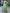 Ruffle Neckline and Sleeve Long Evening Dress with Thigh-High Slit