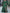 Ruffle Neckline and Sleeve Long Evening Dress with Thigh-High Slit