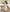 Elegant Long-Sleeve Shirt Dress - Buttoned Front, Belted Waist