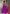 Elegant Halter Top Maxi Dress with Plunging Neckline and Full Skirt