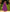 Sleeveless V-Neck Gown with Gathered Waist and Flowing Skirt