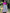 Women's Summer Two-Piece Dress, Short Sleeve Top and High-Waist Floral Print Long Skirt, Fashionable Bow Shoulder Strap Design
