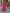 Mid-Length Fitted Bodice Dress