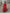 Elegant Long Sleeve High Waist Dress，sophisticated open-back design
