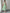 Elegant Sleeveless Button-Down Midi Dress with Scalloped Trim and Fitted Silhouette
