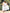 Sleeveless Flared Knee-Length Dress with Ruffle Hem and Gathered Neckline