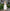 Contemporary Midi Dress with Pleated Skirt Detail