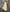 Elegant Waist-Defined A-Line Dress