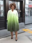 Ombre V-Neck Long Sleeve Dress