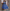 Geometric Circle Pattern Flared Dress with Ruffled Hemline