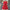 Red Layered  Dress