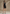 Elegant Sleeveless Dress with Bow Decoration