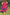 Abstract Art Flare Dress - Knee-Length with Wide Straps
