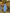 Sleeveless Crop Top & Pleated Maxi Skirt Twin Set - Solid Pattern Design