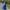 Garden-Inspired Patterned Top& Full-Length Pleated Skirt Set