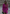 Long Sleeve Bow Tie Wrap Dress