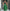High-Waist Patterned Skirt + Sleeveless Top Set｜Ethnic Motif Design