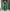 High-Waist Patterned Skirt + Sleeveless Top Set｜Ethnic Motif Design
