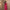 Elegant Sleeveless Knitted Lace Button-Front Maxi Dress with Decorative Pockets