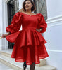 Women's Vintage Puff Sleeve Layered Skirt Dress