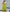 Elegant Sleeveless High-Low Hem Maxi Dress with Floral Applique