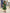 Single-shoulder design Ruffled details Traditional Dress