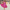 Single-shoulder design Ruffled details Traditional Dress